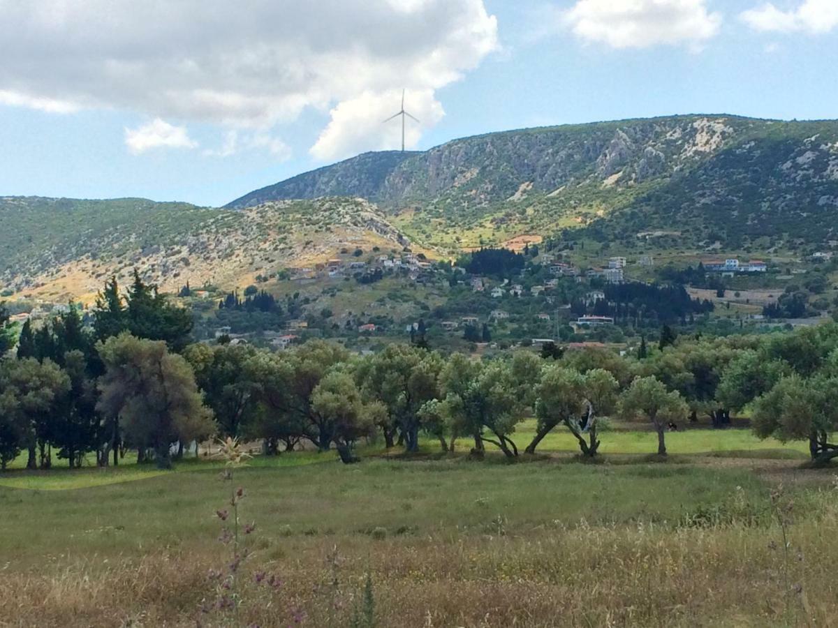 Zeytinli Konak Bed and Breakfast Izmir Exteriör bild
